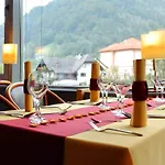 Hotel Cerkno Hotel