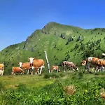 Ξενοδοχείο Hotel Cerkno 3*