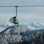 Ξενοδοχείο Hotel Cerkno 3*