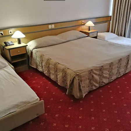 Hotel Cerkno 3* צ'רקנו