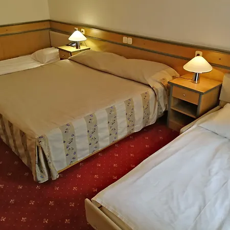 מלון Hotel Cerkno 3*