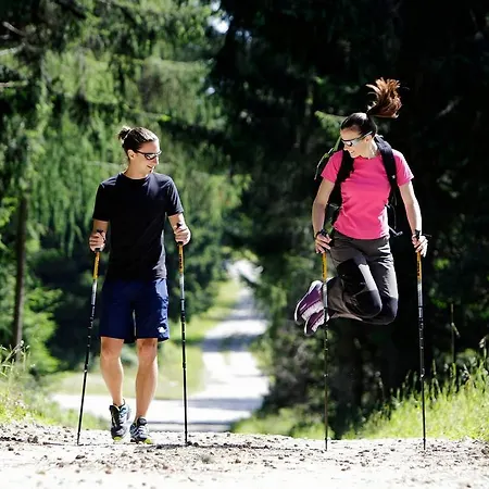 Hotel Cerkno Отель 3*