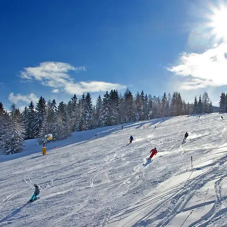 Hotel Cerkno Отель Церкно