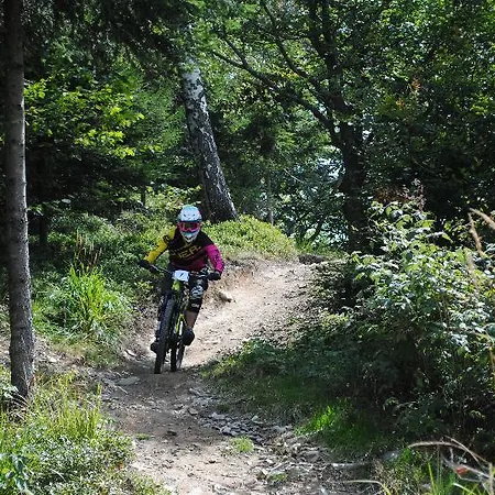 Отель Hotel Cerkno Церкно