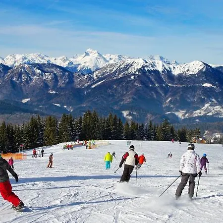 Hotel Cerkno Отель Церкно