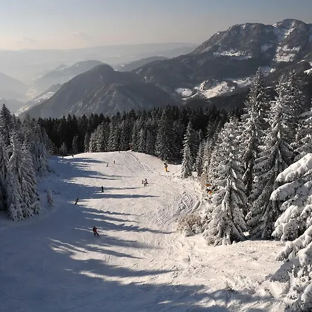 Hotel Cerkno Cerkno