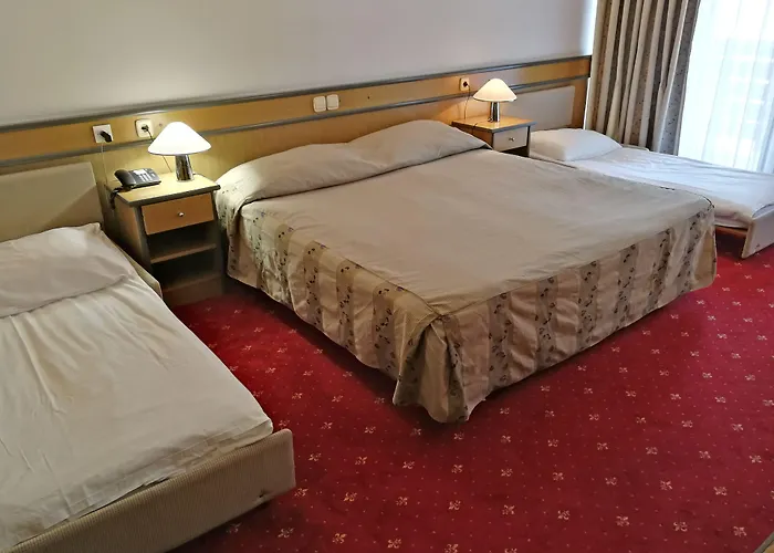 Hotel Cerkno 3* Cerkno