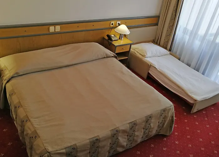 Hotel Cerkno 3* Cerkno
