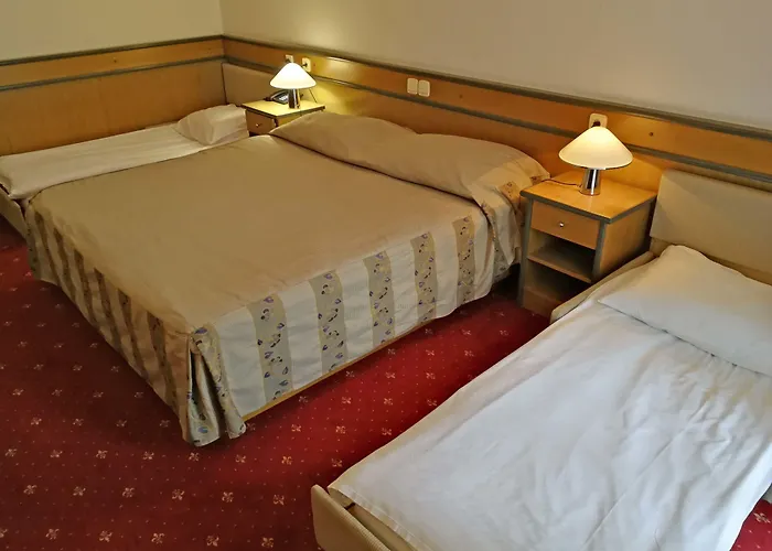 ホテル ホテル チェルクノ 3*