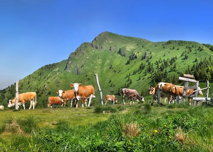 Hotel Hotel Cerkno 3*