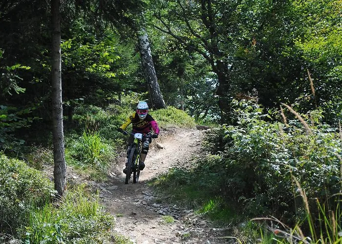 酒店 塞尔克诺酒店 采尔克诺