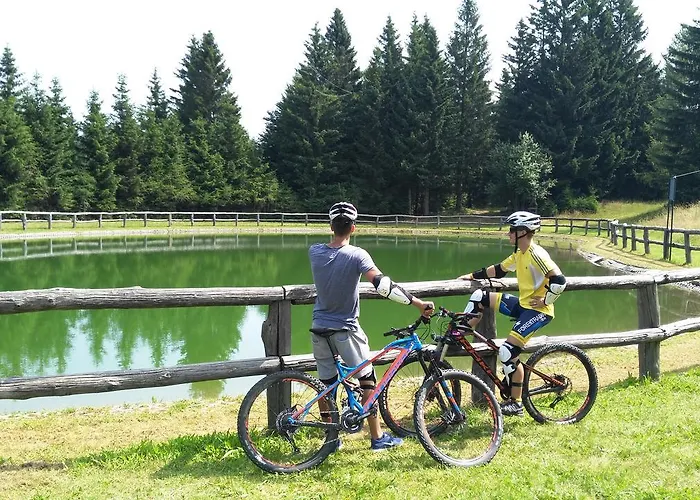 塞尔克诺酒店 3*