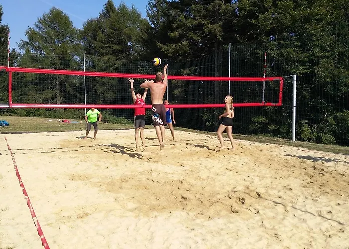 Hotel Hotel Cerkno 3*