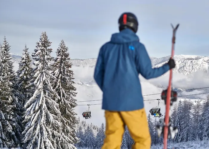 酒店 塞尔克诺酒店 采尔克诺
