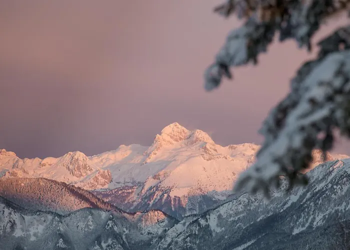 塞尔克诺酒店 3*